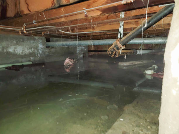 Best Water damage restoration company  in Hoosick Falls, NY