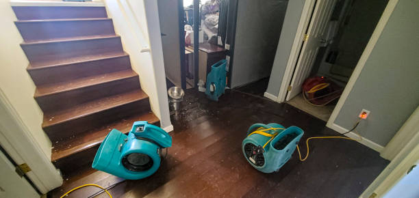 Best Flood restoration services  in Hoosick Falls, NY